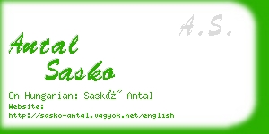 antal sasko business card